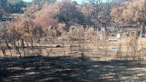 La finca de Moral de Sayago tras el fuego del 14 de septiembre