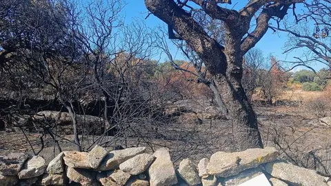 Finca quemada