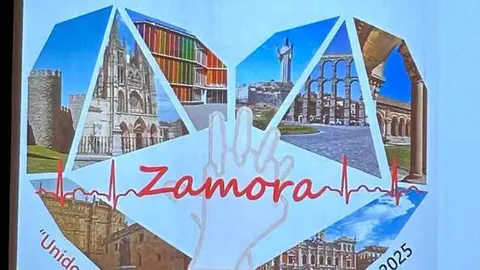 V Jornadas de Enfermería de Urgencias y Emergencias de Castilla y León en Zamora_13