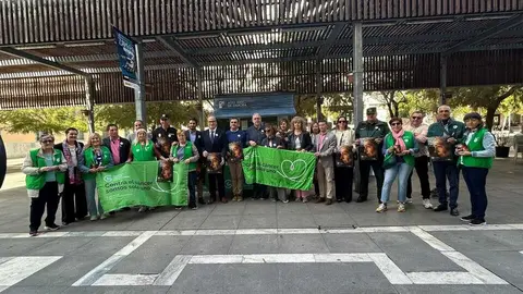 Campa&ntilde;a C&aacute;ncer de Mama AECC Zamora _4