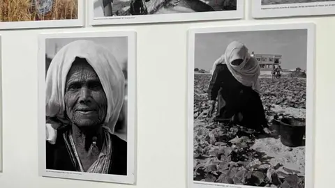 Exposición fotografía Para contar mi historia, archivo palestino _22