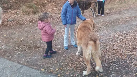 Niños con un perro en el centro de Robledo