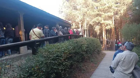 Visitantes Jornadas Abiertas Centro Lobo de Robledo2