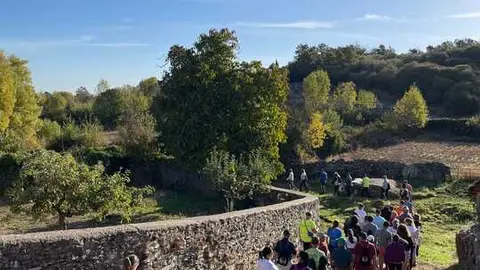 paseo solidario Grisuela de Aliste