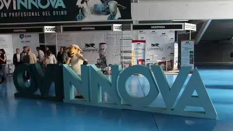 Ovinnova 2025_7