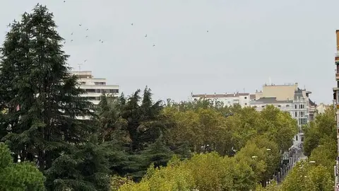 d&iacute;a de lluvia 