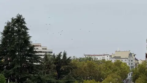 día de lluvia _2