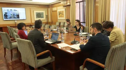 Pablo Bustinduy, preside por videoconferencia el pleno del Consejo Territorial de Servicios Sociales y del Sistema para la Autonomía y Atención a la Dependencia