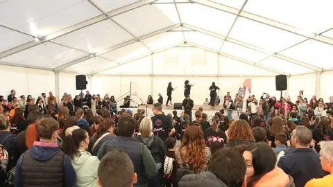 marcha TDAH y actuación Salsón Dance _8