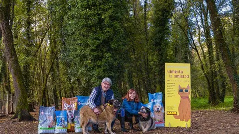 CAMPAÑA ALIMENTA LA AMISTAD