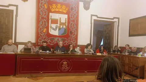 pleno mes de octubre en el Ayuntamiento de Zamora