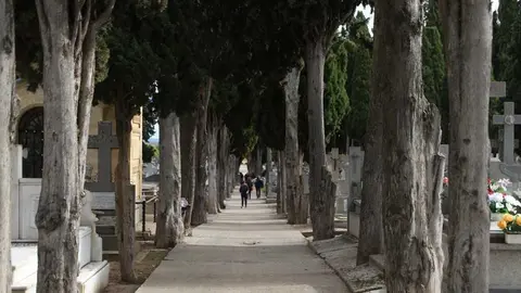 Cipreses del cementerio