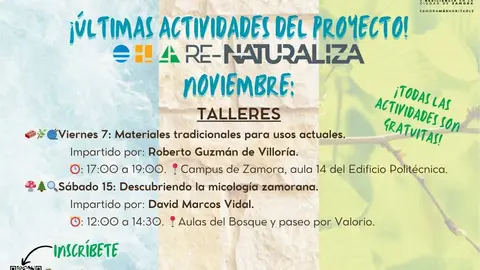 Actividades Noviembre