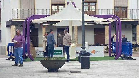 Feria de los Santos Fuentesaúco_3