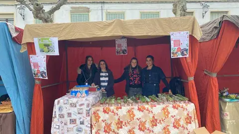 Feria de los Santos Fuentesaúco_6