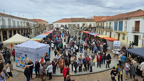 feria de los santos en Fuentasúco _5