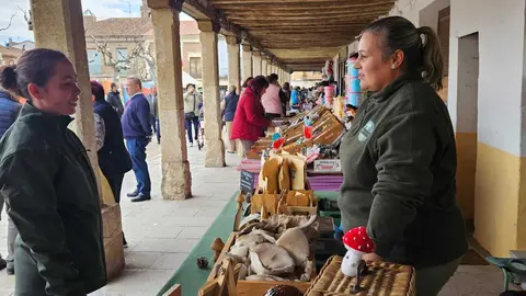 feria de los santos en Fuentasúco _6