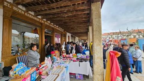feria de los santos en Fuentasúco _10