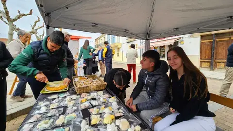 feria de los santos en Fuentasúco _16