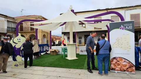 feria de los santos en Fuentasúco _28