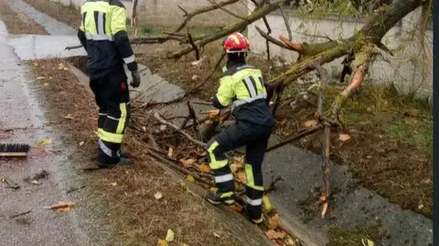 Arbol caído entre Villalazán y Villaralbo_1