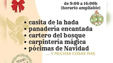 Campamento de navidad Zamora
