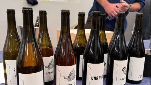 D.O Arribes jornada Salamanca