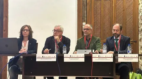 Congreso Internacional Rural Renaissance VI Puebla de Sanabria