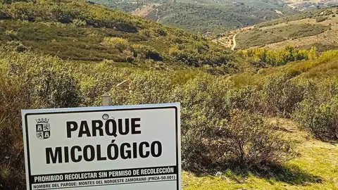 parque micológico de Zamora