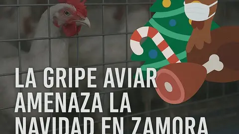 ChatGPT Image 8 nov 2025, 16_08_06