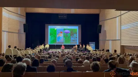 Concierto Alollano _4