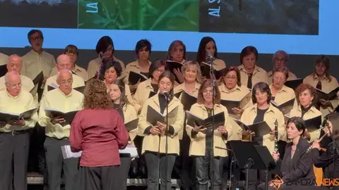 Concierto Alollano _28