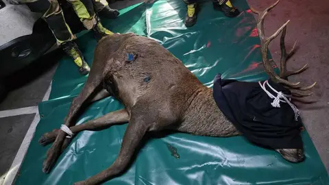 30bfcf40-1285-4884-b0ee-540555e3165c