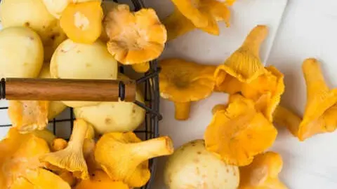 Setas listas para cocinar