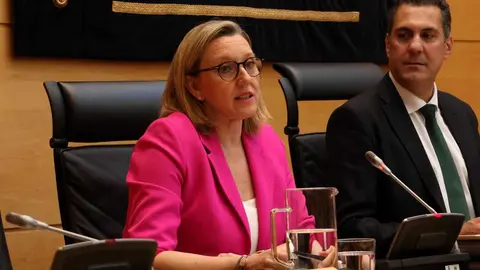 Isabel Blanco, durante la presentación de los Presupuestos