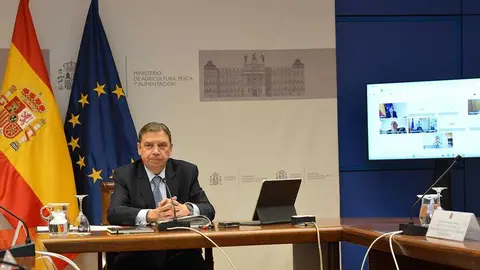 El ministro de Agricultura, Pesca y Alimentación, Luis Planas, durante la reunión de los Consejos Consultivos de Política Pesquera y Política Agrícola para Asuntos Comunitarios