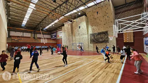 Pabellón deportivo. Foto Interbenavente