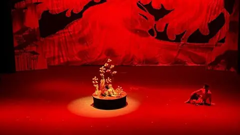  Gran Circo Acrobático de China