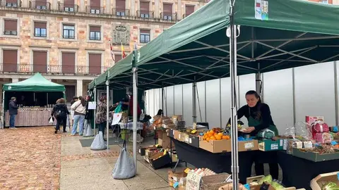 Mercado ecológico de Zamora  _3