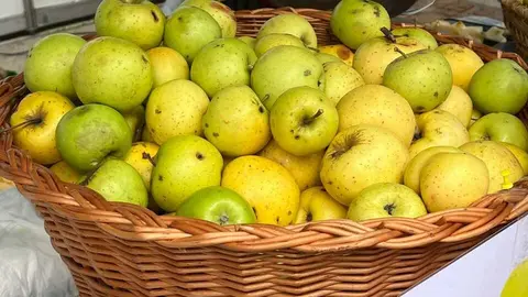 Mercado ecológico de Zamora  _7