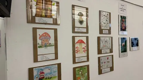 Exposición Micológica Zamora  _24