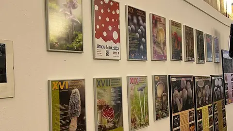 Exposición Micológica Zamora  _27