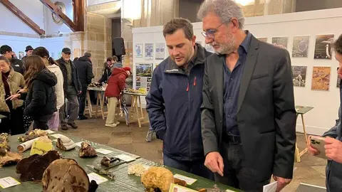 Exposición Micológica Zamora  _33