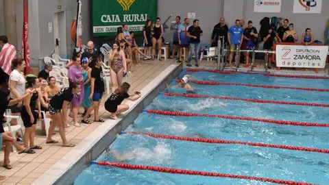 Open Máster Ciudad de Zamora- Nadador Completo _16