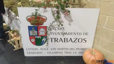 Magosto tradicional y feria de la miel Trabazos _2