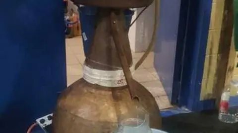 Magosto tradicional y feria de la miel Trabazos _6