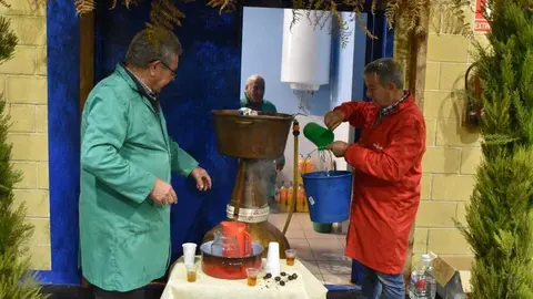 magosto trabazos 2025_2