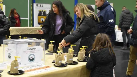 magosto trabazos 2025_5