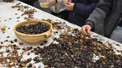 magosto trabazos 2025_10