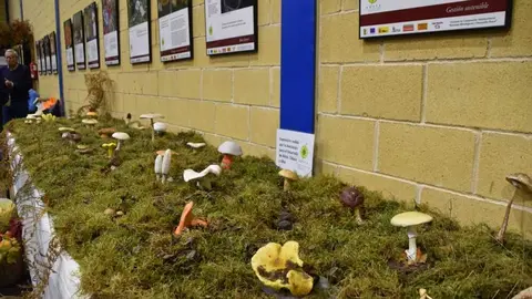 magosto trabazos 2025_14